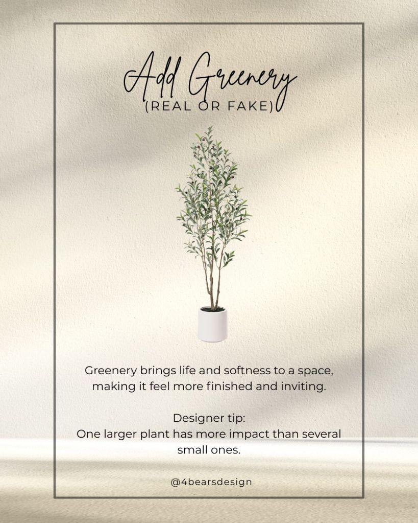 Large indoor plant in a neutral planter used to refresh a living space

